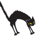 angry_black_cat